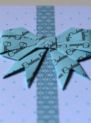 creacoton-carte-cadeau-enveloppe-bleu-plumetisjoli (5)