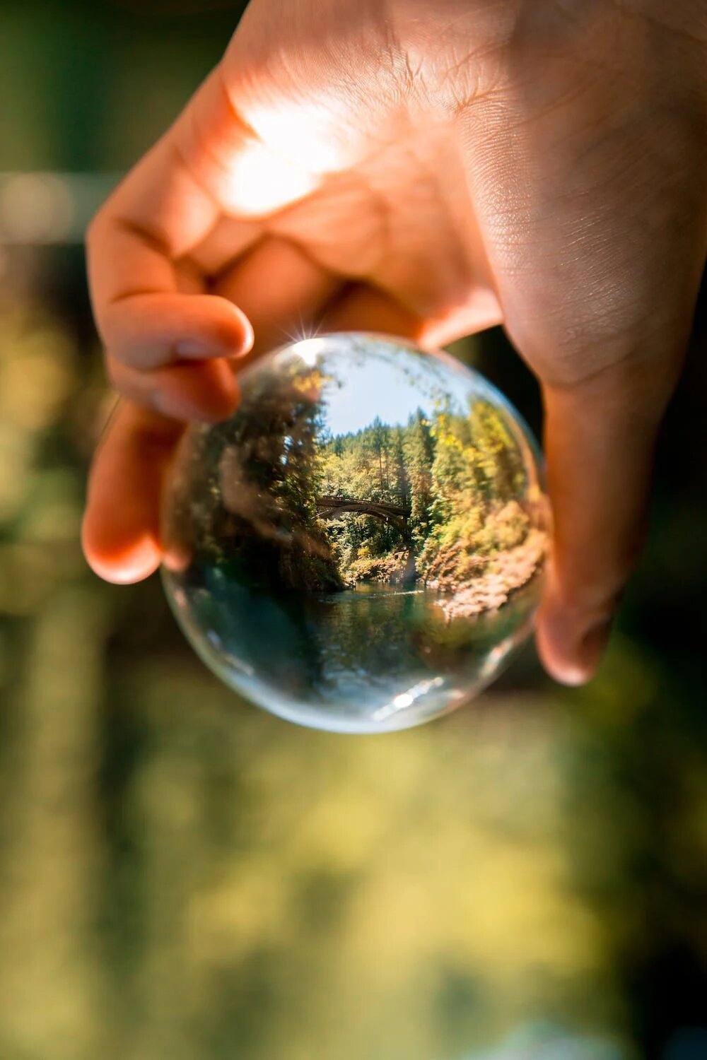 Une main tient une boule de verre transparente où l'on peut voir de la végétation.
